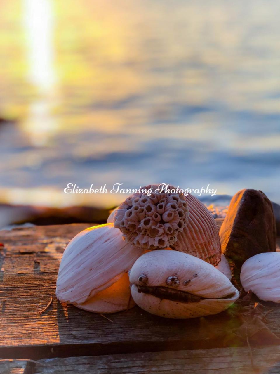 Sea Mist Waterfront B&B Camano Εξωτερικό φωτογραφία